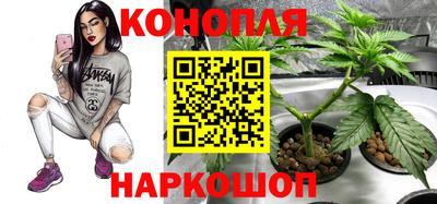 a pvp Владикавказ