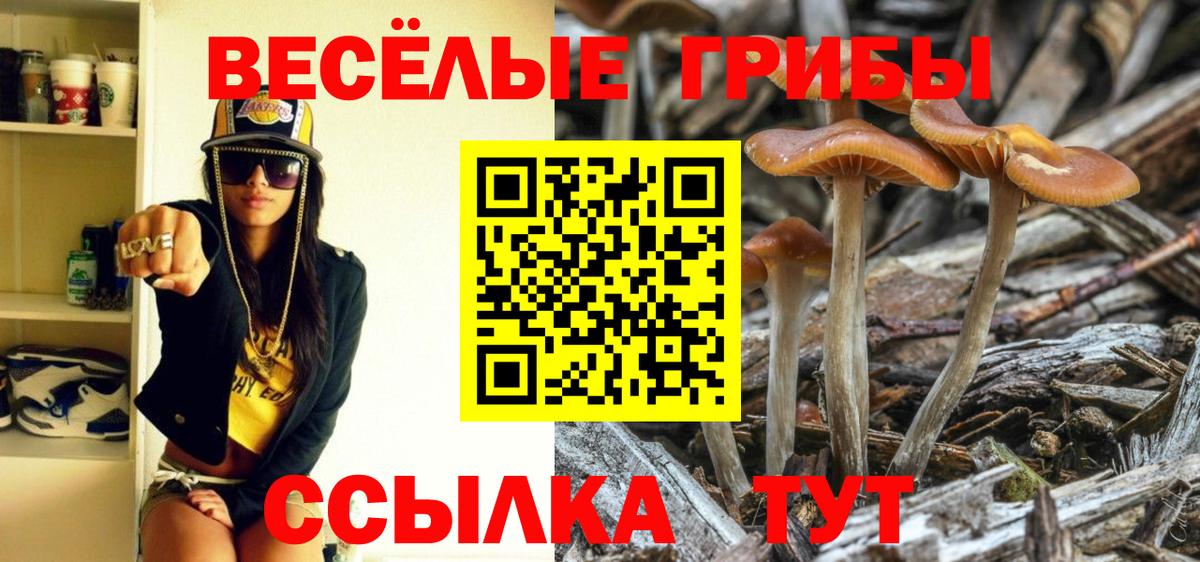 ГАШ  Вход с VPN  Мефедрон кристаллы  Великий Новгород  Меф МЯУ МЯУ  Конопля  A PVP СК кристаллы 