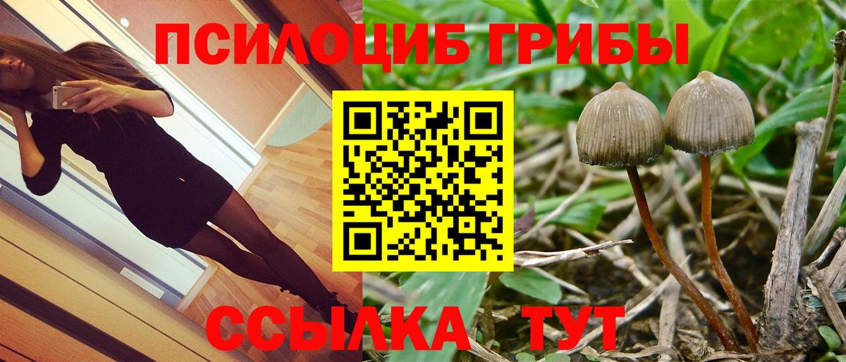 Псилоцибиновые грибы Magic Shrooms Великий Новгород